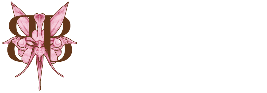 Baso Patissier Logo
